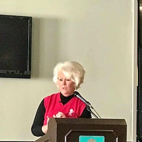 Little Red Jumpsuit Event Photo