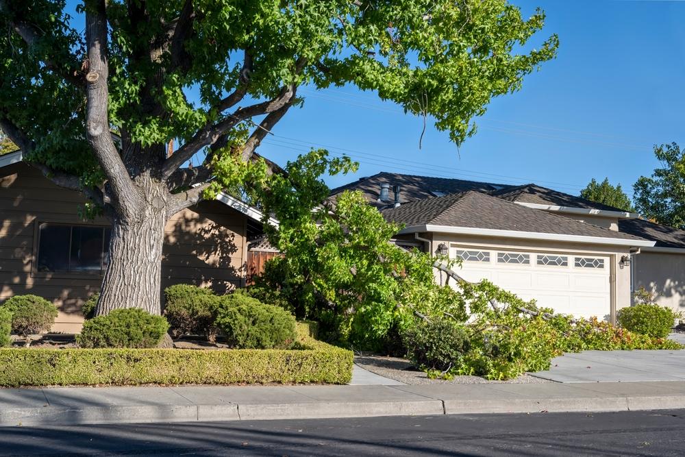 A house with a tree fallen on it. A lawyer can tell you how to file an insurance claim for storm damage.